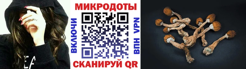 Псилоцибиновые грибы мухоморы  ОМГ ОМГ ONION  Иланский  даркнет сайт 