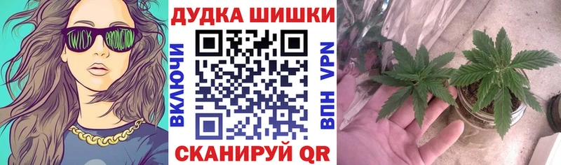 Канабис AK-47  где найти   Иланский 